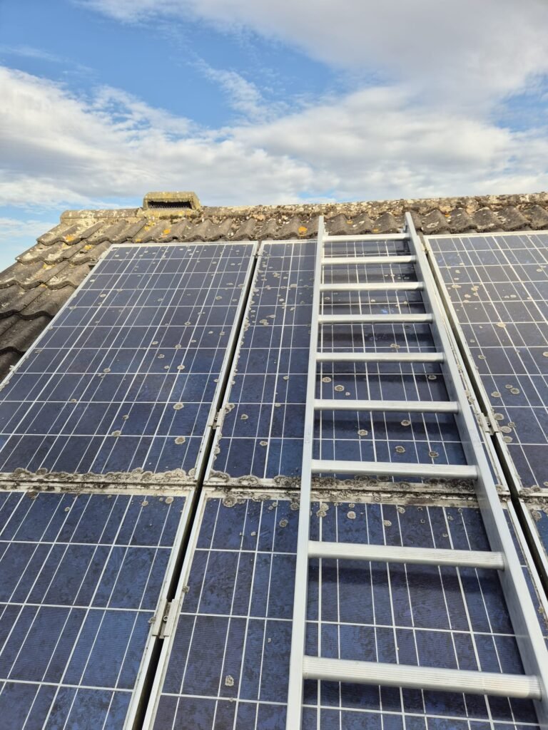 Solar panels covered in moss, lichen and dust before professional cleaning, with hook-over ladders in place at a property in Barnby Dun, Doncaster, South Yorkshire.