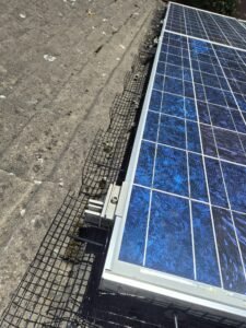 Side view of solar panels fitted with black PVC-coated pigeon proofing mesh in Barnby Dun, Doncaster.