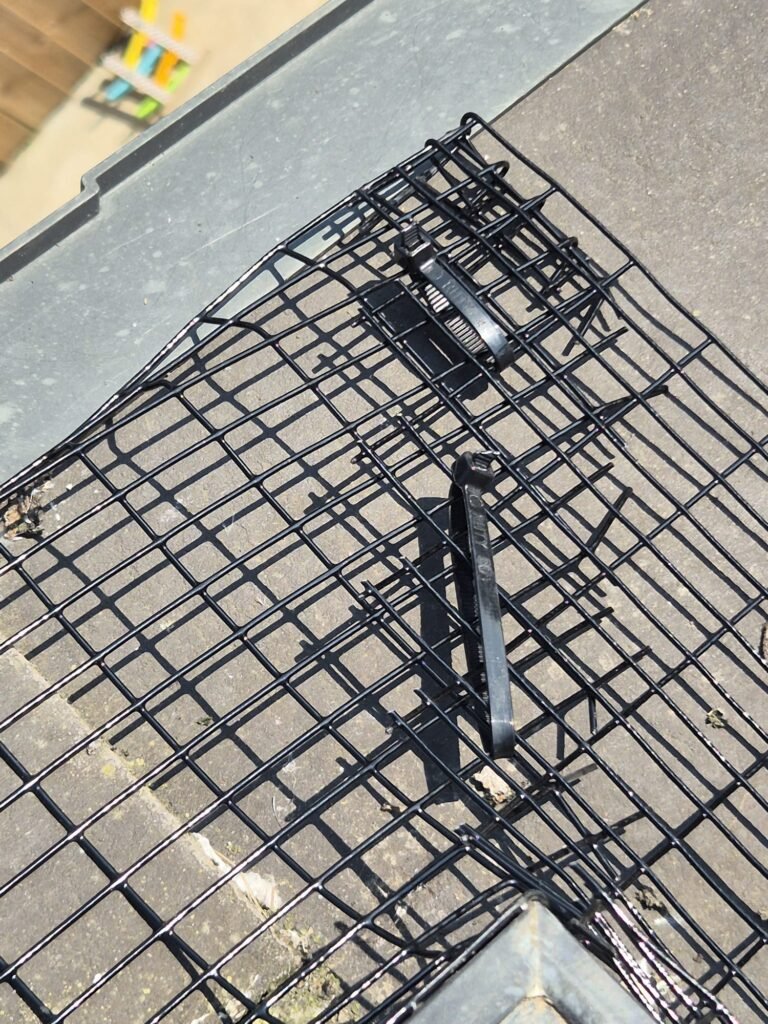 Corner detail of solar panel pigeon proofing mesh securely overlapped and fastened with three UV-resistant cable ties.
