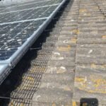 Completed solar panel pigeon proofing installation