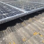 Solar panels with pigeon proofing mesh installed by Solar Pigeon Proofing Service