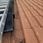 Solar panels surrounded by black PVC-coated pigeon-proofing mesh secured with UV-rated Solar Fast Fix clips.