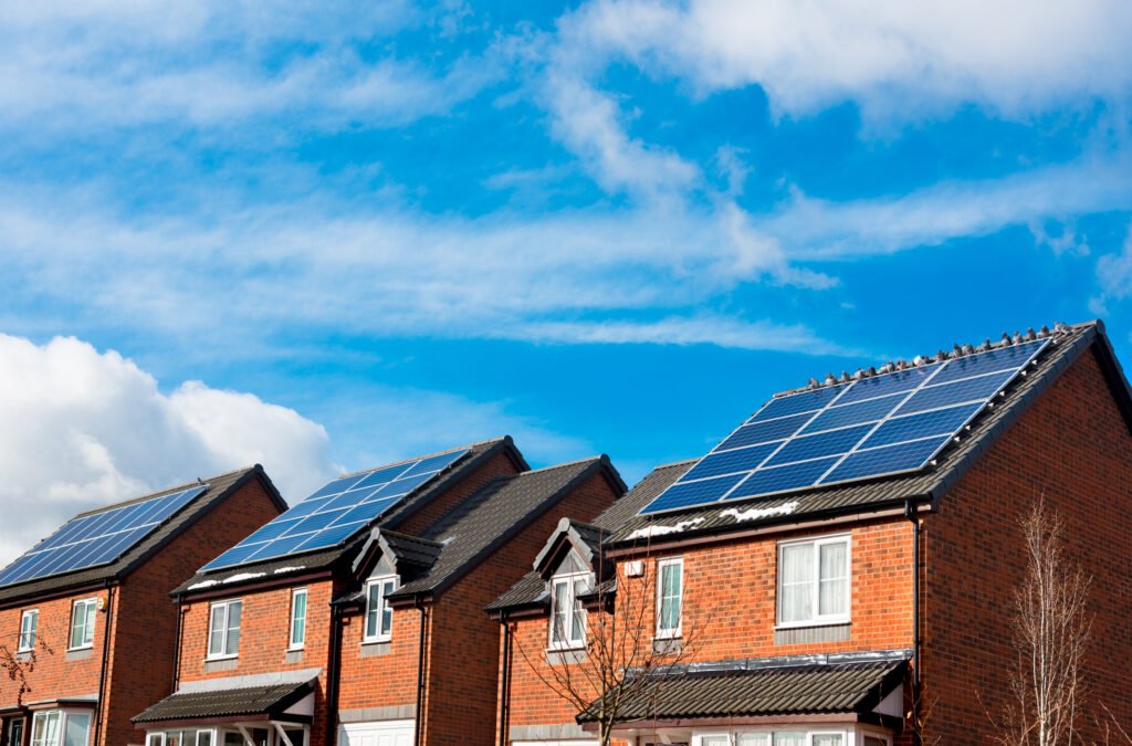 Solar Panel Pigeon Protection